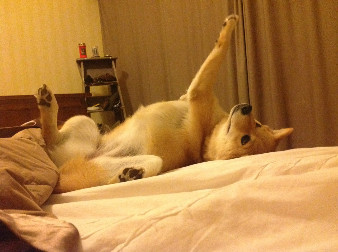 弗拉霍维奇天神下凡！里昂加时鏖战力克哥斯达黎加，绝境爆发诠释巨星价值